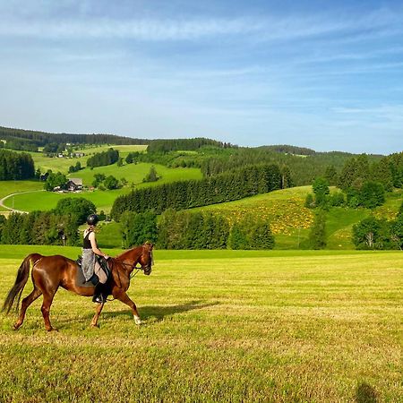 Ferienhof Gerda Sankt Georgen im Schwarzwald Eksteriør billede