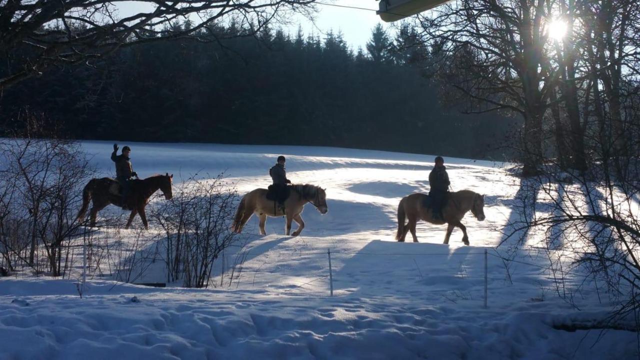 Ferienhof Gerda Sankt Georgen im Schwarzwald Eksteriør billede