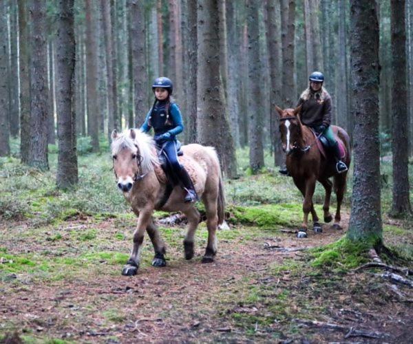Ferienhof Gerda Sankt Georgen im Schwarzwald Eksteriør billede