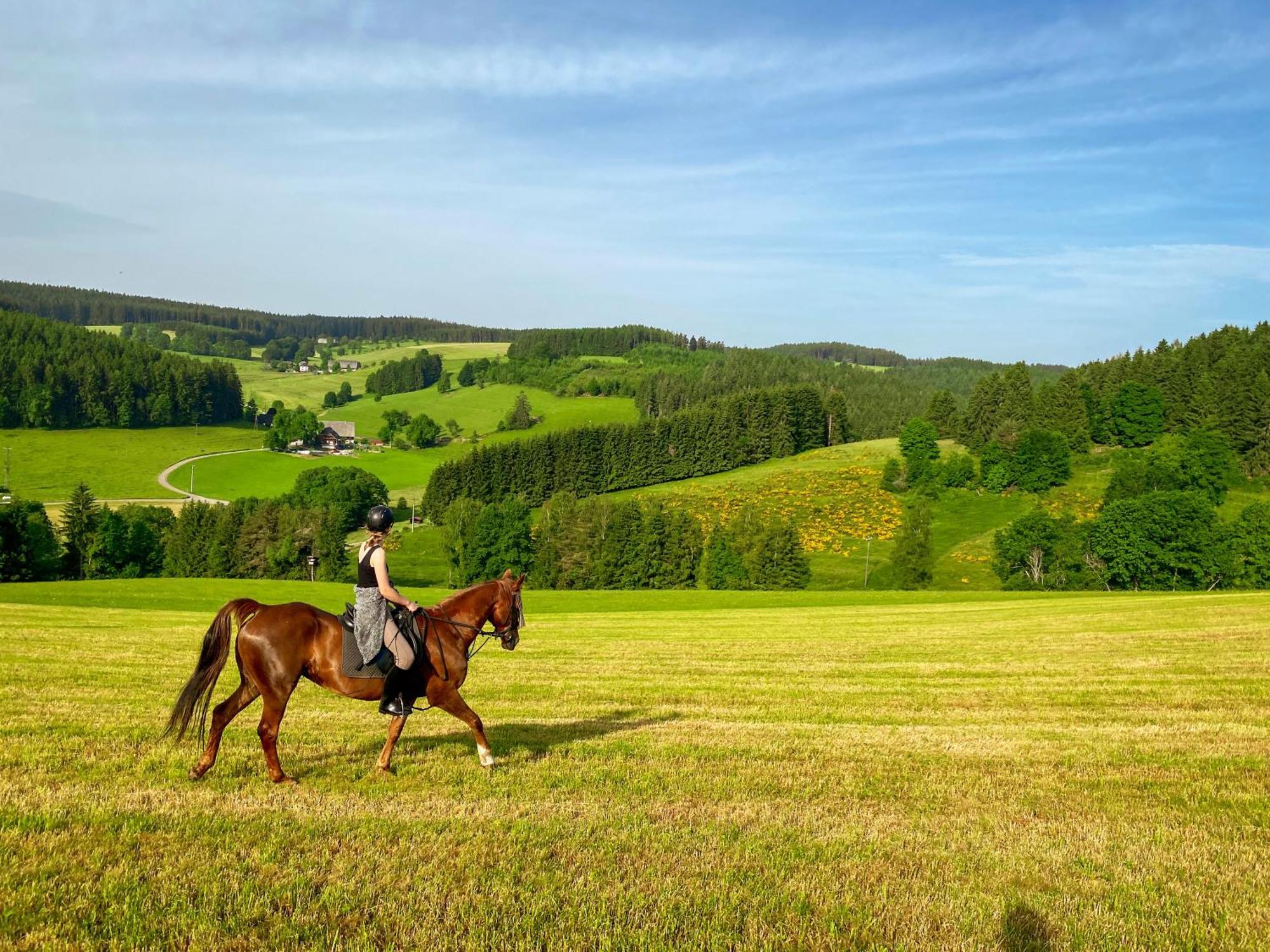 Ferienhof Gerda Sankt Georgen im Schwarzwald Eksteriør billede